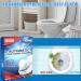 Toilet Bowl Cleaner Toilet Cleaner Tablets Toilet Limescale Remover Effective Toilet Cleaner and Descaler Toilet Cleaning Tablets Deep Clean Toilet Block Toilet Active Tablets Toilet Fresheners 12PCS - Buy Online on GoSupps.com