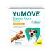 Lintbells YuMOVE Dental Care | Dental Sticks for Small Dogs | 14 Pack | Tasty Chews with Natural Ingredients which Target Plaque & Freshen Breath White 14 count (Pack of 1)