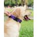 Joytale Tactical Dog Collar - Large Purple Dog Collar with Handle & QR Code Tag for XL Dogs - Buy Online on GoSupps.com