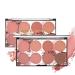 8 Color Blush Palette: Contour, Highlight, Matte, Shimmer - With Blush Brush - Buy Online on GoSupps.com