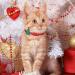 TAILGOO Breakaway Cat Collars with Bell - 3 Pack for Kittens, Puppies, and Tiny Pets - Thanksgiving, Christmas, Pumpkin Design - Buy Online on GoSupps.com