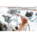 Ritchie Navigation Explorer Compass  Black - Buy Online on GoSupps.com