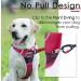 Thinkpet No-Pull Dog Harness - Adjustable Breathable & Reflective Safety Harness for Small Medium & Large Dogs - Includes 1.5m Leash Set (2XL) - Buy Online on GoSupps.com