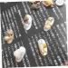 minkissy 1 Box Nail Art Decoration Nail Jewelry Shell Decor Conch Jewelry Nail Decorations for Nail Art Conch Shells Nail Decoration Nail Ornament 3d Nail Stickers Manicure - Buy Online on GoSupps.com