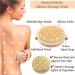 Body Brush for Wet or Dry Exfoliating | Gentle Massage Nodes | Cellulite and Dry Skin Treatment | Improve Circulation | 1 Count - Buy Online on GoSupps.com