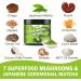 TALCUFON Mushroom Matcha 4.23Oz Japanese Ceremonial Matcha Blend 7 Superfood Mushrooms All Natural Gluten Free Taste Great Hot or Cold Matcha Latte 120G - Buy Online on GoSupps.com