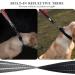 Vivaglory Short Dog Leash - 32cm Traffic Leash for Medium & Large Dogs - Black/Red - Buy Online on GoSupps.com