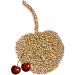 5kg Loose Cherry Stones - Free Delivery in Germany - Buy Online on GoSupps.com