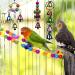10-Piece Colorful Bird Toy Set for Parrots - Swings Chops Hanging Bells for Budgies Finch and Cockatiels - Buy Online on GoSupps.com