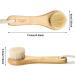 3 Pcs Manual Facial Cleansing Brushes - Natural Horsehair Exfoliating Face Brush for Deep Pore Cleansing & Blackhead Removal - Buy Online on GoSupps.com