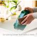 Full Circle Walnut Scrubber Sponge 2 Pack - Eco-Friendly Cleaning, 4.4 x 2.75 - Buy Online on GoSupps.com