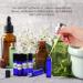Blue Essential Oil Roller Bottles - 48-Pack for Aromatherapy - Buy Online on GoSupps.com