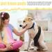 Dog Knee Brace | with 10 Support Sticks Breathable Hip Support for Dogs | Comfortable Hip and Leg Protector Breathable for Small Senior and Disabled Dogs - Buy Online on GoSupps.com
