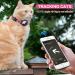 Premium Pink AirTag Cat Collar with Safety Lock & Elastic Band for Kittens & Puppies (23-33cm) - International Shipping - Buy Online on GoSupps.com