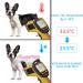Dog Cooling Vest & Coat - Adjustable Absorbent Jacket for All Breeds | Perfect for Summer & Hot Weather - Size M Blue - Buy Online on GoSupps.com