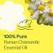 Buy 100% Pure Roman Chamomile Essential Oil - Natural Aromatherapy Therapeutic Grade 5 mL - Plant Therapy - Buy Online on GoSupps.com
