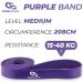 Coresteady Rubber Resistance Bands - Heavy Duty Loop Band for Men & Women - Build Power & Muscle - Fitness Assist for Pull Ups & Exercise (Purple) - Buy Online on GoSupps.com