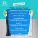 Buy Philips Sonicare W DiamondClean Replacement Toothbrush Heads HX6062 HX6063 HX6064 - 6 Pack for Whitening & Plaque Removal - Medium Bristles & Tongue Cleaner - Buy Online on GoSupps.com