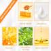 Lip Care Lip Balm Set - Honey Milk Moisturizing And Plump Lipbalm Set - Lip Hydration Exfoliating Minimizing Lip Lines Brightening Lip Repair - Lip Scrub Lip Balm Lip Oil Lip Mask - Buy Online on GoSupps.com