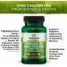 Swanson Dr. Stephen Langer's Formula - Natural Probiotic w/Prebiotic FOS - 16-Strain Supplement Promoting Digestive Support w/ 3.2 Billion CFU per Capsule - (60 Veggie Capsules) 2 Pack 60 Count (Pack of 2) - Buy Online on GoSupps.com