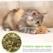 18 Pieces Interactive Cat Toys - Plush Mice & Cat Mint Fun for Kittens - International Shipping Available - Buy Online on GoSupps.com