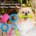 Puppy Dog Teething Toys 5pcs Puppy Chew Toy Set with Ball and Ropes Indestructible Interactive Squeaky Dog Toys Dog Chew Toys Puppy Gift for 8 Weeks Small Puppies and Medium Dogs - Buy Online on GoSupps.com