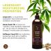 Earthly Body MKS Echo Conditioner High Tide 16oz - Moisturizing Natural Hair Conditioner - Buy Online on GoSupps.com