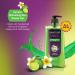Buy Santoor Refreshing Shower Gel - Natural Lemon & Frangipani | 500ml | Soft Fresh Skin for All Skin Types | Unisex | International Shipping - Buy Online on GoSupps.com