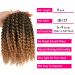 8 Inch Short Marlybob Passion Twist Crochet Hair 9 Bundles/Lot Ombre Braiding Extensions - Small Afro Kinky Curly Twist Braid (1B/27) - Buy Online on GoSupps.com