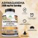 NaturaLife Labs Organic Ashwagandha 2100 mg - 100 Capsules | Natural Stress Relief & Wellness Support - Buy Online on GoSupps.com