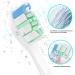 16-Piece Sonicare Toothbrush Heads Set - 8 White & 8 Black Compatible Replacement Brushes for Philips Electric Toothbrush - Buy Online on GoSupps.com