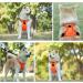 Eyin Dog Harness for Large Dogs - Adjustable Breathable Reflective Padded with Handle & Front Bracket XL (Orange) - Perfect for Daily Training - Buy Online on GoSupps.com