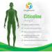 Citicoline CDP Choline 300mg - 120 Vegetarian Capsules | Made in USA | Brain Function & Memory Support | Cognitive Enhancer | 120 Count - Buy Online on GoSupps.com