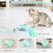 Pawaboo Interactive Cat Toys for Indoor Cats Cat Feather Toys Cat Mouse Toys Moving Automatic Cat Toy with LED Lights Rechargeable Electric Cat Toy Kitten Exercise Toys with 5 Feathers Lake Blue Lake Blue Car - Buy Online on GoSupps.com