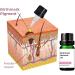 GFOUK Huile d' limination des Taches de Naissance allemandes Vitamine C s rum collag ne cr me de r paration des Taches fonc es r paration de l'hyperpigmentation 5pcs - Buy Online on GoSupps.com