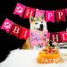 Birthday Sparty Bandana Hats Set for Girls & Dogs | 1st Birthday Party Decor with Paw Print Balloons & Happy Birthday Banner - Buy Online on GoSupps.com