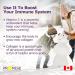 Promise Vitamin C - High Potency 1000mg 180 Capsules- High Immunity Support Healthy Bones Collagen Formation Body Tissue Repair Delayed Release for No Upset Stomach Made in Canada - Buy Online on GoSupps.com