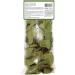 Living World Green Botanicals Dried Leaf Treat - Mango Leaves - 10 g (0.35 oz) - Buy Online on GoSupps.com