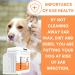 Dog Ear Wipes | Soft Quick & Easy Ear Wipes For Dogs | Remove Wax Dirt & Stop Smelly Itchy Dog Ears | 50 Soothing Aloe Vera Dog Ear Cleaning Finger Wipes! - Buy Online on GoSupps.com