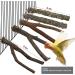 5-Piece Natural Twig Parrot Toys Set for Small to Medium Birds - Ideal for Macaws, Budgies, Lovebirds, Finches - Perching Wood Sticks - Buy Online on GoSupps.com