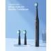Sonic Electric Toothbrush Replacement Heads - Bitvae Daily D2 Compatible - 4 Pack Black Refills - Buy Online on GoSupps.com