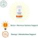 2nd Springs Mind & Body Harmony Bundle - 7 Mushroom & Brain Support for Cognitive Wellness Super B-100 & Adaptogen Complex for Energy & Stress Resilience - Buy Online on GoSupps.com