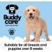 Buy BuddyCare Fell Care Shampoo for Dogs Aloe Vera & Pro-Vitamin B5 Hair Loss Control | 500ml x 3 International Shipping Available - Buy Online on GoSupps.com