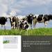 Buy 1pc Pregnant Tester for Livestock - Cow Pregnancy Test Strip & Detection Tools | Farm Testing Supplies - Buy Online on GoSupps.com