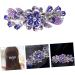 FRCOLOR Hairpin Rhinestone Clip Hair Barrettes for Women Purple Hair Barrettes Flower Crystal Hair Clips Diamond Hair Accessories Ponytail Clip Holders Rhinestones Alloy Crystal Back Miss - Buy Online on GoSupps.com