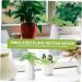 Zerodeko 2 Pcs Simulation Plant Succulent Outdoor Small Greenery Decor Artificial Succulents Photo Mini Decor Plants Wedding Scene Layout Prop Plastic Child Christmas The Flowers Greenx2pcs 29x18cmx2pcs - Buy Online on GoSupps.com