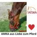 AMKA Muzzle for Horses - Adjustable Feeding Stop with Rubber Insert | Dark Blue Sizes Available - Buy Online on GoSupps.com