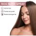 Spray anti-chute l'eau de riz rafra chissant et non gras absorption rapide stimulant les follicules pileux adapt aux cuirs chevelus clairsem s adapt aux hommes comme aux femmes 3Pcs - Buy Online on GoSupps.com
