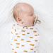 Ryan & Rose Cutie PAT Pacifier Teether Starter Kit - Neutral - Buy Online on GoSupps.com