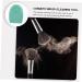 Premium Silicone Makeup Brush Cleaner - Effective Cosmetic Cleaning Tool Egg Design Pad 7.5x5.0x2.5CM Green - Ideal for All Makeup Brushes - Buy Online on GoSupps.com